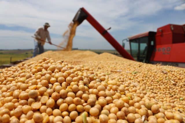 OMC: Agricultura brasileira é fundamental para o mundo