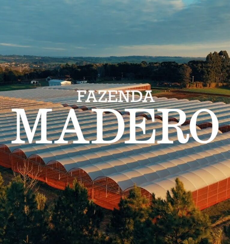 Você conhece a Fazenda Madero?